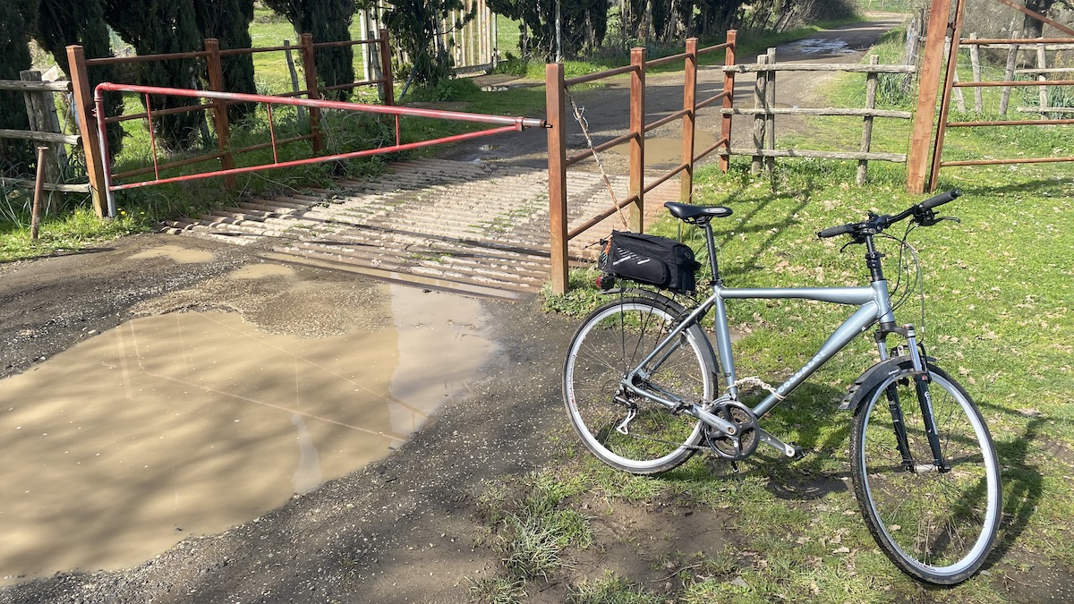 Bicycle standing up next to a cattle gate I had to open and sut, tall cypress trees behind.