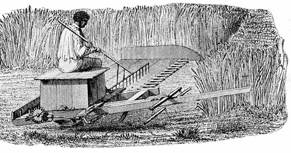 Woodcut of Obed Hussey's original reaper. A man sits on a box that covers the machinery, holding a rake that helps guide the wheat into the cutter bars. The apparatus is connected to a shaft that allows it to be pulled by a pair of horses, but the horses are not shown.