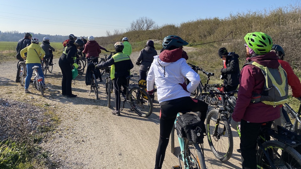 A group of cyclists seen from the rear about to set off on a ride together