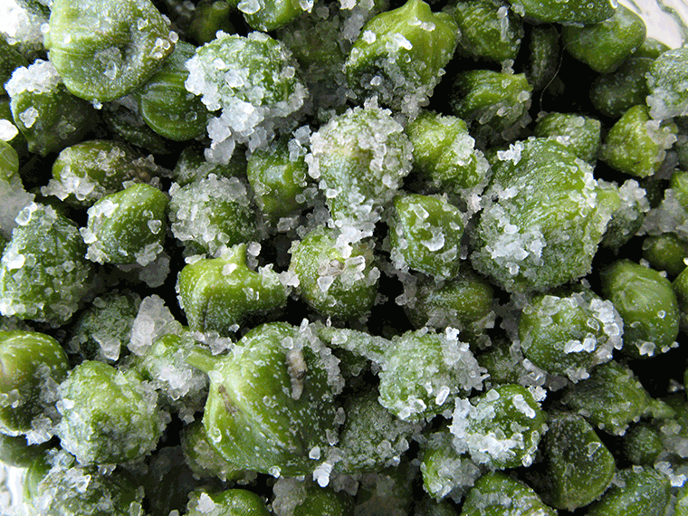 Salted caper buds not yet capers