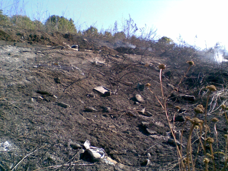 Burned over stretch of riverbank, still smoking, with debris all over the ground.