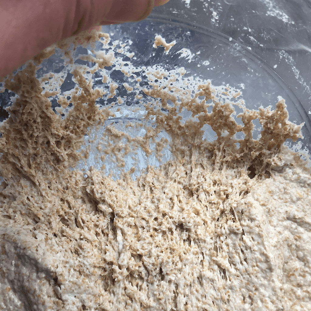 Active sourdough starter