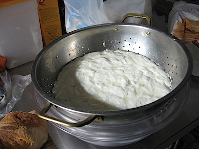 Milk curds in a colander