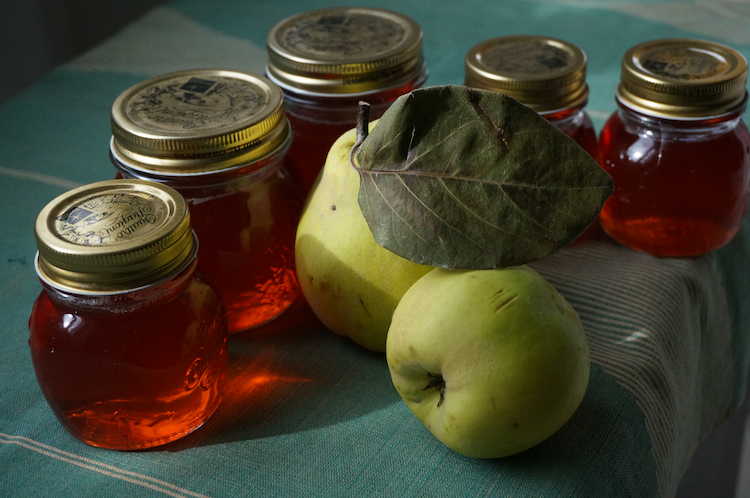 Jars of quince jelly