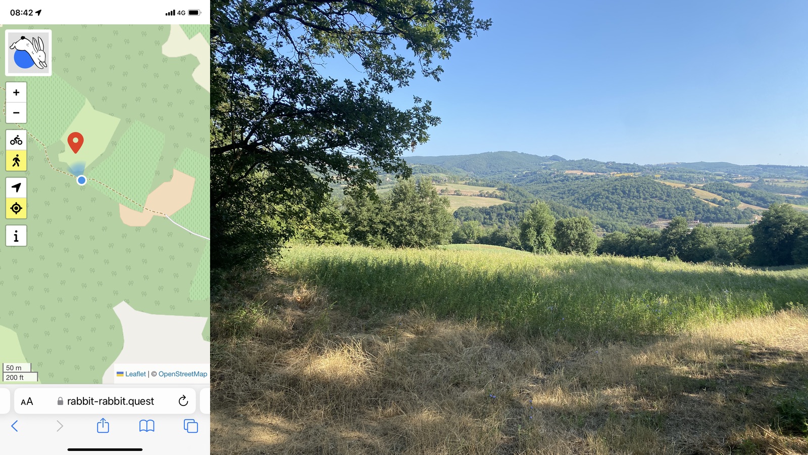 Composite image with the Rabbit on the left and the view on the right; a fallow field bordered by woods with wooded hills in the distance