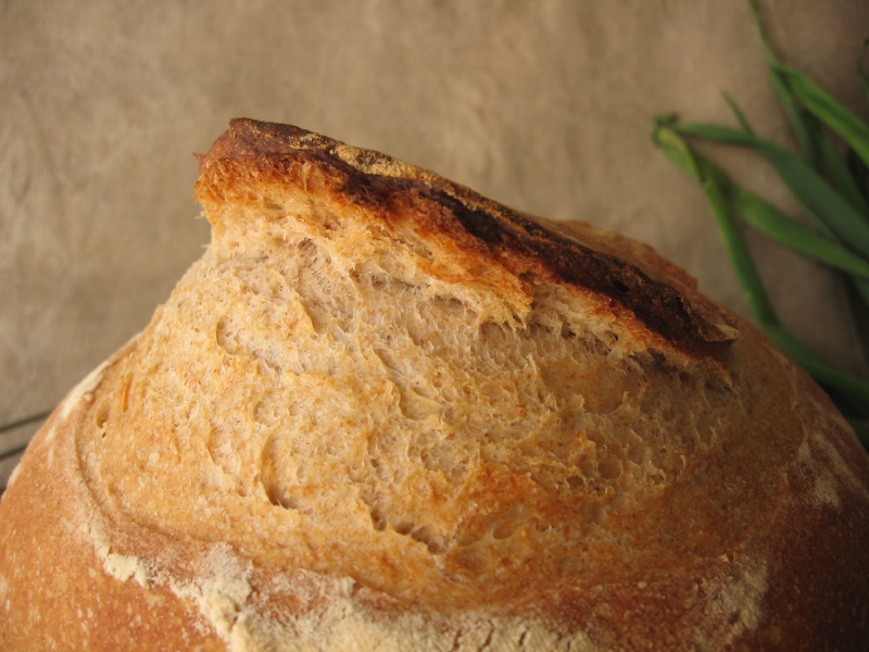 Ear and crust of semolina bread