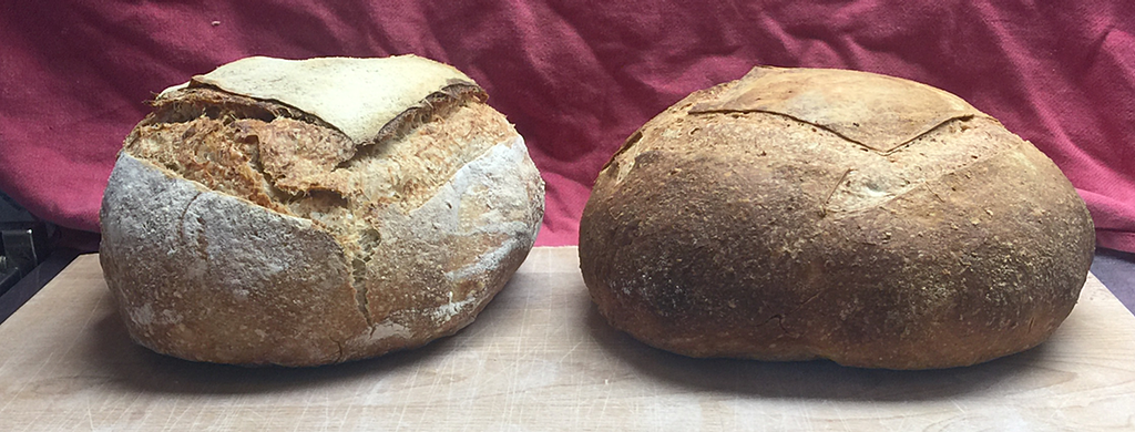 two rustic bread loaves