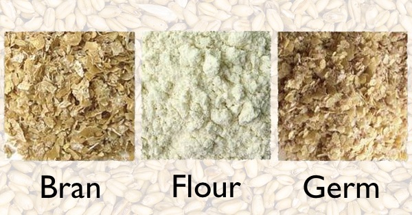 Close-up of wheat bran (brown and flaky), flour (white and powdery), and germ (also brown and flaky)