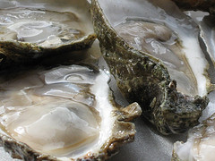 Oysters on the half shell