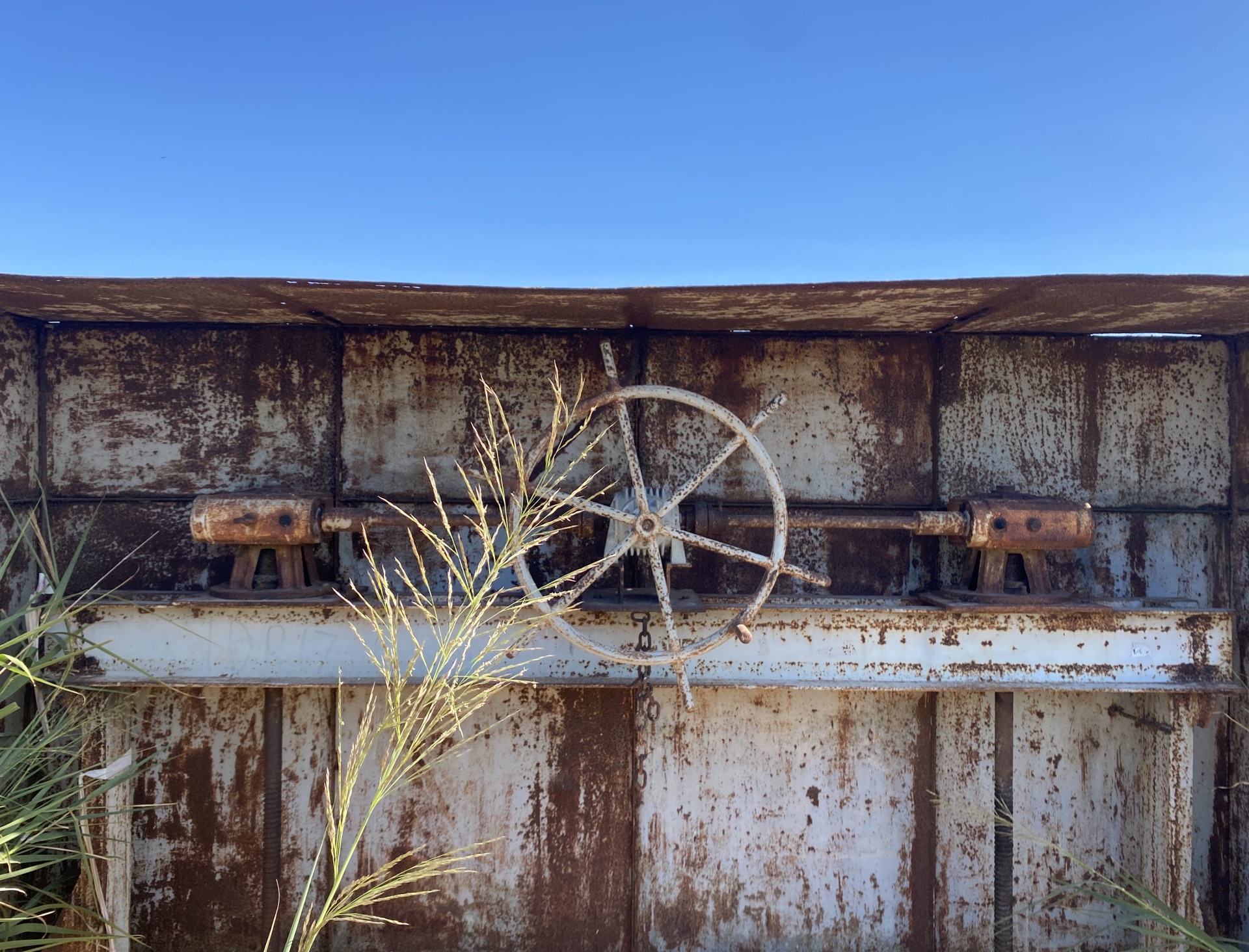 A rusty sluice gate with a very blue sky above and a grass seed head in front. There is a six-handled wheel that can be used to raise and lower the gate.