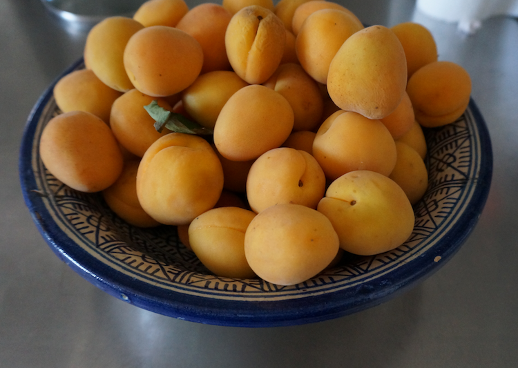 Apricots