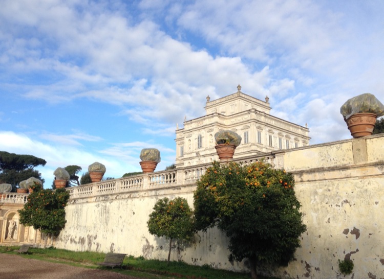 Orange trees in front of the Villa Dora Pamphilij